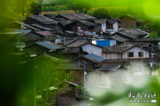苏菲亚的婚纱