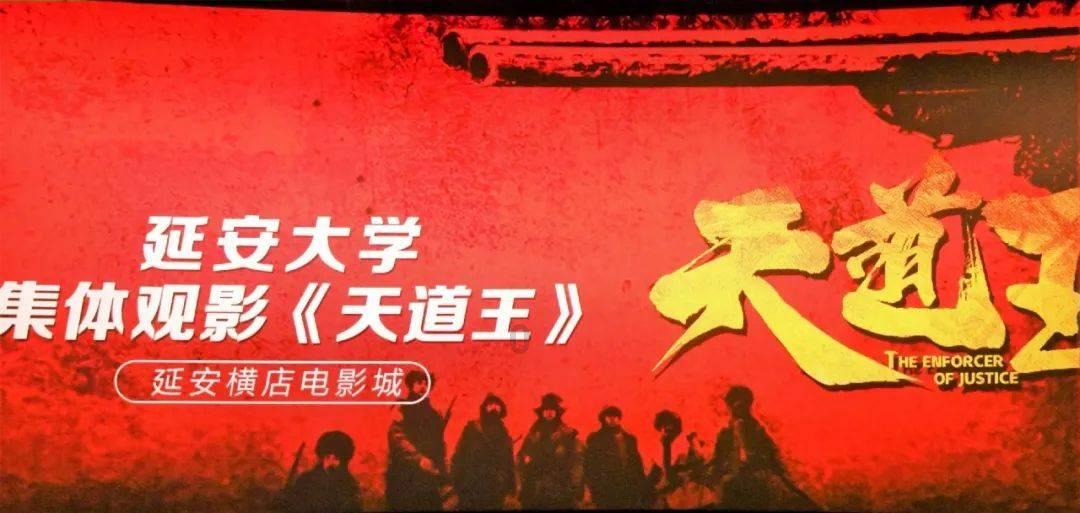 小边牧刚来新家不吃怎么办？游戏画面