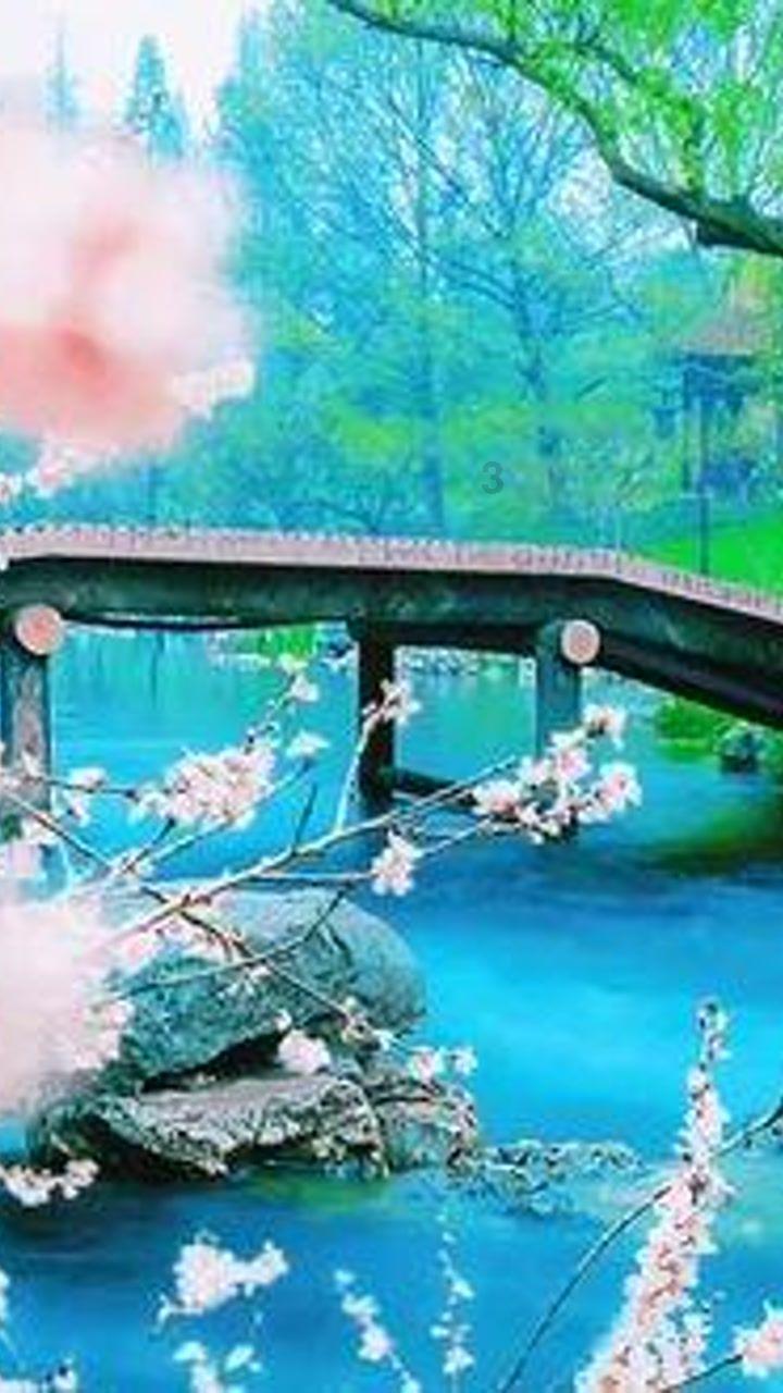沙特王室是个什么样的家族?暗流涌动下是权力、欲望、利益
